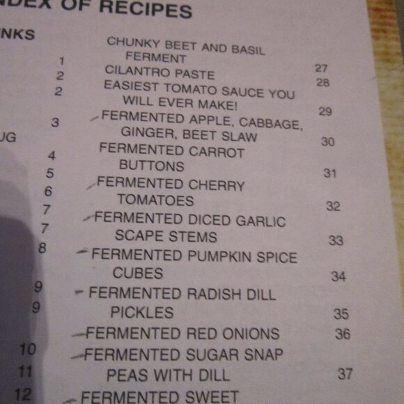 Stacy's Fermenting with a Smile Cook Book- Off-Grid with Doug and Stacy - Picture 5 of 5